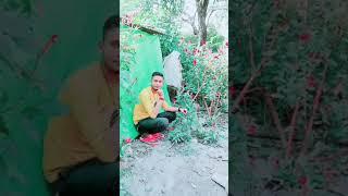 nabaziya bel ka jave ashutosh Upadhyay baba mhakal bhakt gonda