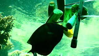 Aquarienhaus Tiergarten Zoo Schönbrunn Einheimische und tropische bunte Fische Fisch Aquarium Anlage