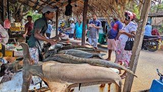 Wow! Massive Fish Cutting in a Village Fish Market | Must Watch