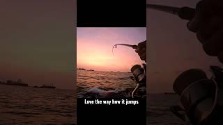 Amazing to see barramundi jumps #fishingingoa #shortvideo #shorts