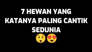 7 HEWAN YANG KATANYA PALING CANTIK SEDUNIA 