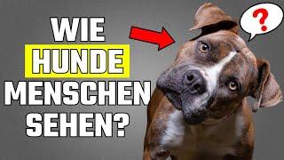 PAPA? MAMA? Oder denkt dein Hund, dass du nur ein anderer Hund bist?