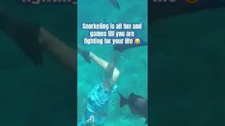 Highkey was fighting for my life the whole time  #cruise #travel #vacation #funny #snorkeling