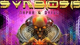 HiTech Dark Psytrance ● 190 BPM+ Symbiosis - Full Album Napra & Dyfed