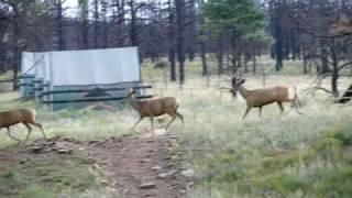 Day 5 Philmont 27