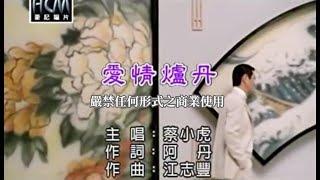 蔡小虎-愛情爐丹(官方KTV版)