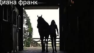 Клип про лошадей  оранжевые сны