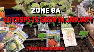 20 Crops to Grow in January | How to start seeds
