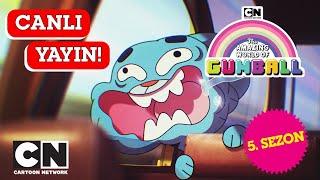 CANLI  GUMBALL | 5. Sezon Tüm Bölümler | Cartoon Network Türkiye