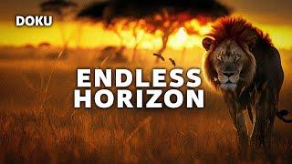 Endless Horizon (animal documentary | Africa documentary | complete documentary in German)