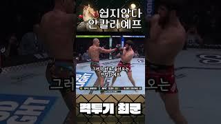 페레이라  아직죽지 않았어 가즈아