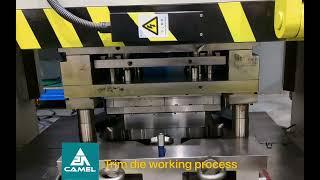 Trim Die working process #diecasting #HPDC #MOLD #DIE #TOOL #TOOLING #aluminum #zinc #magnesium