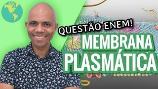 MEMBRANA PLASMÁTICA | Biologia Plena