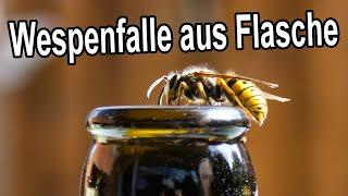 DIY Wespenfalle aus Pet Flasche selber bauen / Fliegenfalle selbst machen / Wespen vertreiben fangen