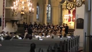 Sleep - Eric Whitacre / mixed choir Decoro, Latvia