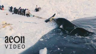 Whale hunting with an Inuit community north of the Arctic Circle | Anaiyyuun: Prayer for the Whale