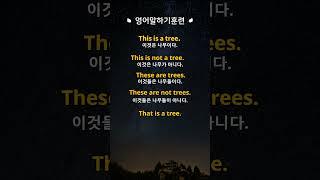 [영어말하기훈련]#13.이거모르면 영어로 말이 안나와요! ㅣ왕초보 기초영어회화