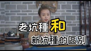 小師妹給大家講解翡翠"老坑種”“新坑種”的區別#翡翠講解