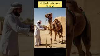 Ma Khuda ko batwoga | Camel  #shorts #camel #ai #animals #camelcart