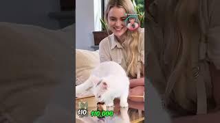 Годую Кішку Суші за $10 vs $10,000 | Звук у куточку