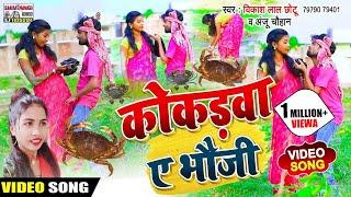 आ गया VIDEO SONG || Vikash Lal Chhotu & Anju Chauhan || का बजने वाला मगही गाना || कोकड़वा ए भौजी ||