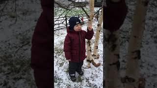 Сергей Есенин « Белая береза», Котельников Степан ( 2 г. 11 м.)