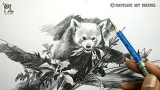 Animal Pencil Sketching And Shading With A Single Pencil || PAINTLANE Drawings