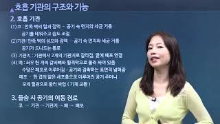 호흡 | 호흡 기관의 구조와 기능 | 김정아