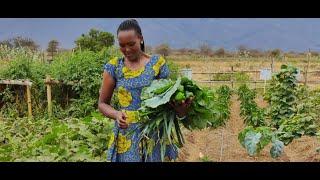 One Acre Integrated Ecological Organic Agriculture