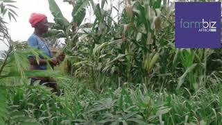 Small scale farmers adopts new farming methods after Farmbiz trainings