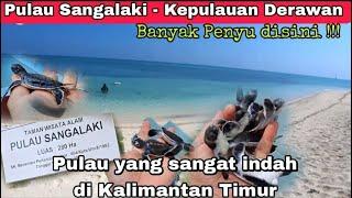 Pulau Sangalaki | Pulau tempat penyu bertelur | wisata kepulauan Derawan Berau Kalimantan Timur