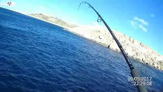 Malta Shore  Jigging 2019