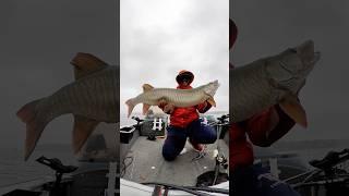 the SECRET to catching MONSTER FISH  (GIANT MUSKY) #fishing #outdoors #shorts