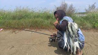 Biar kecil yang penting kakap Mancing kakap putih Muara