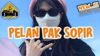 PELAN PAK SOPIR x AHA AHA SENTAK REMIX_•Papa Adung•_2023!!!