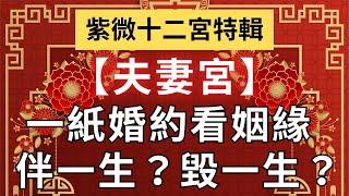 紫微十二宮之【夫妻宮】看一紙婚約是伴一生?還是毀一生?麥可大叔30年紫微斗數算命命理老師