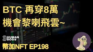 [幣加NFT EP198] BTC再穿8萬| 2次探底機會黎喇飛雲 | BTC分析 #心心仔 #BTC #Bitcoin #Crypto #廣東話 #加密貨幣 #粵語