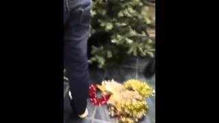 ValeriyaArzamastseva   Елку ставим в автошколе