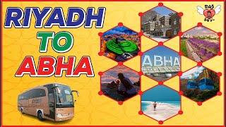 Riyadh to Abha by Bus 4K