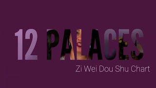 Understanding the 12 Zi Wei Dou Shu Palaces