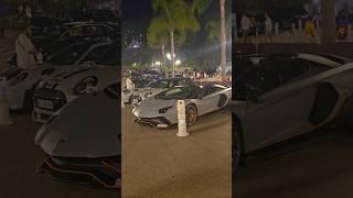 6 Cars 1 Key #monaco #supercars #luxury #millionaire #nightlife