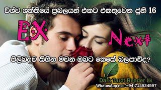 විශ්වශක්තිය එකට එකතුවෙන ජූනි 16 EX or Next පිලිබදව සිහින මවන ඔබට කෙසේ බලපාවිද?|Sinhala|#tarotcards