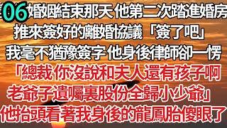 06！契約婚姻結束那天他第二次踏進婚房，推來簽好的離婚協議「簽了吧」我毫不猶豫簽字 他身後律師卻一愣，「總裁 你沒說和夫人還有孩子啊，老爺子遺囑裏股份全歸小少爺」他抬頭看著我身後的龍鳳胎傻眼了#連載