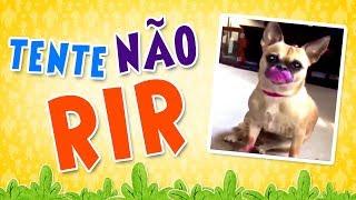 Tente não RIR !!! | Turminha do Caramelo