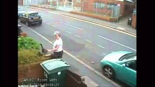 Woman throws cat into wheelie bin