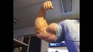 Just a bicep.