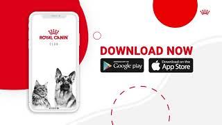 Introducing the Royal Canin Club