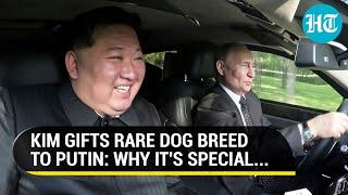 After Putin Gifts, Kim Jong Un Presents Revealed: In Exchange For Russian 'Rolls-Royce', He Gives...
