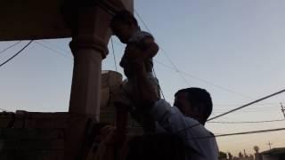 الضلع 14 مصطفى ضياء