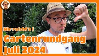 Gartenrundgang Juli 2024 ‍ Ein frustrierendes Gartenjahr 2024 Neuer Gemüsegarten Schildkröten